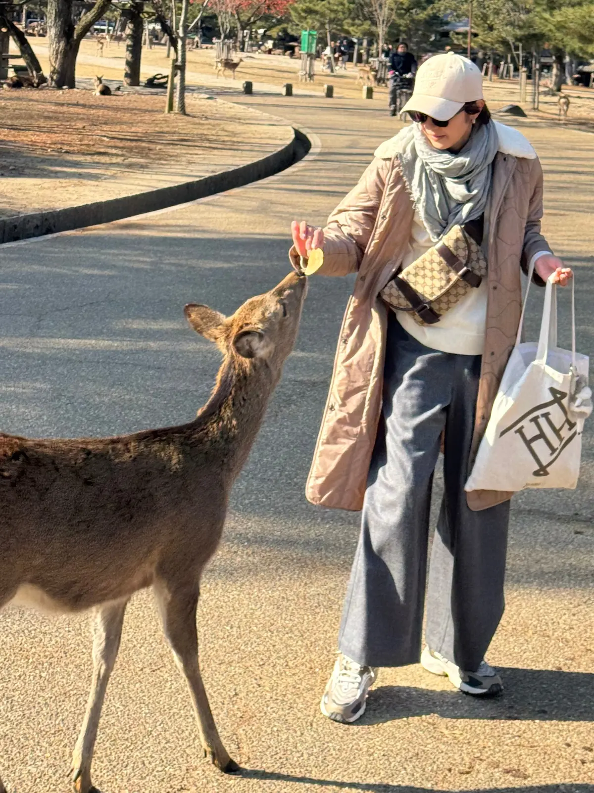 美味いもん＆御朱印を求めて母娘弾丸2人旅の画像_13