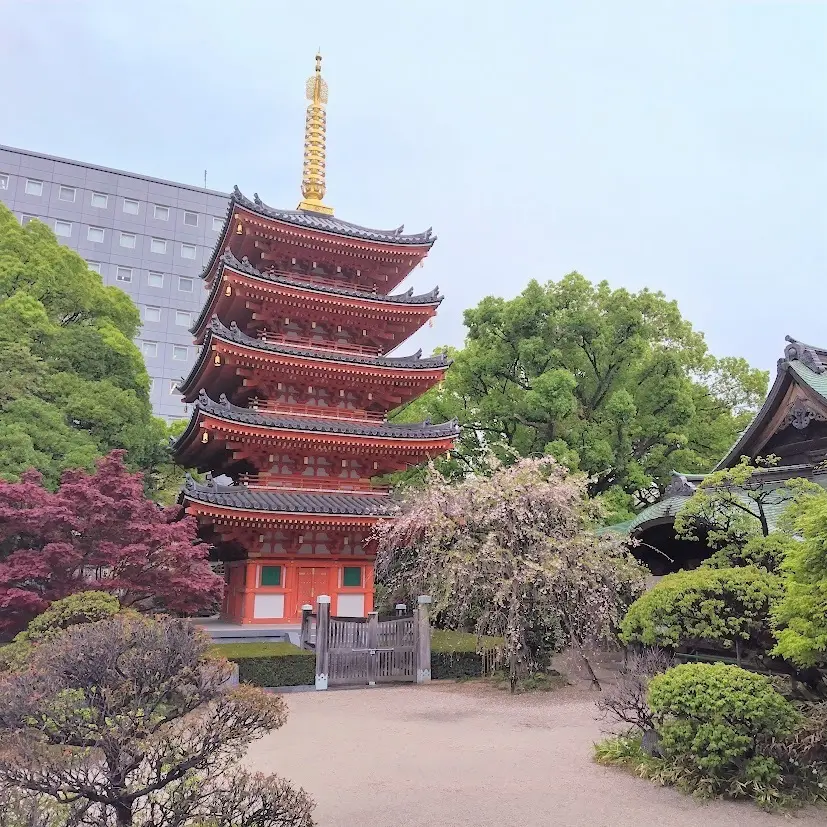 東長寺　五重塔