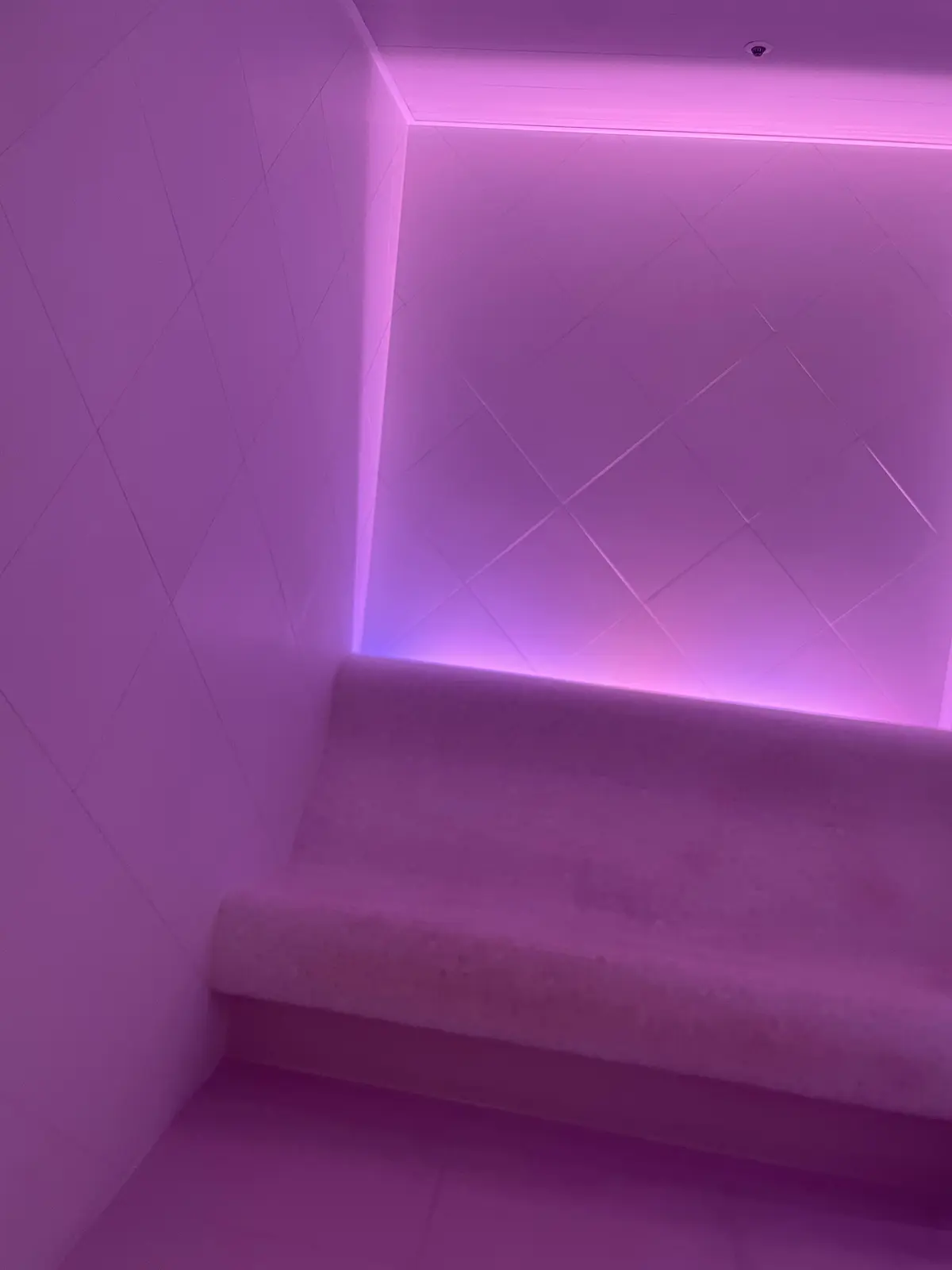 パレスホテル　温浴施設　サウナ