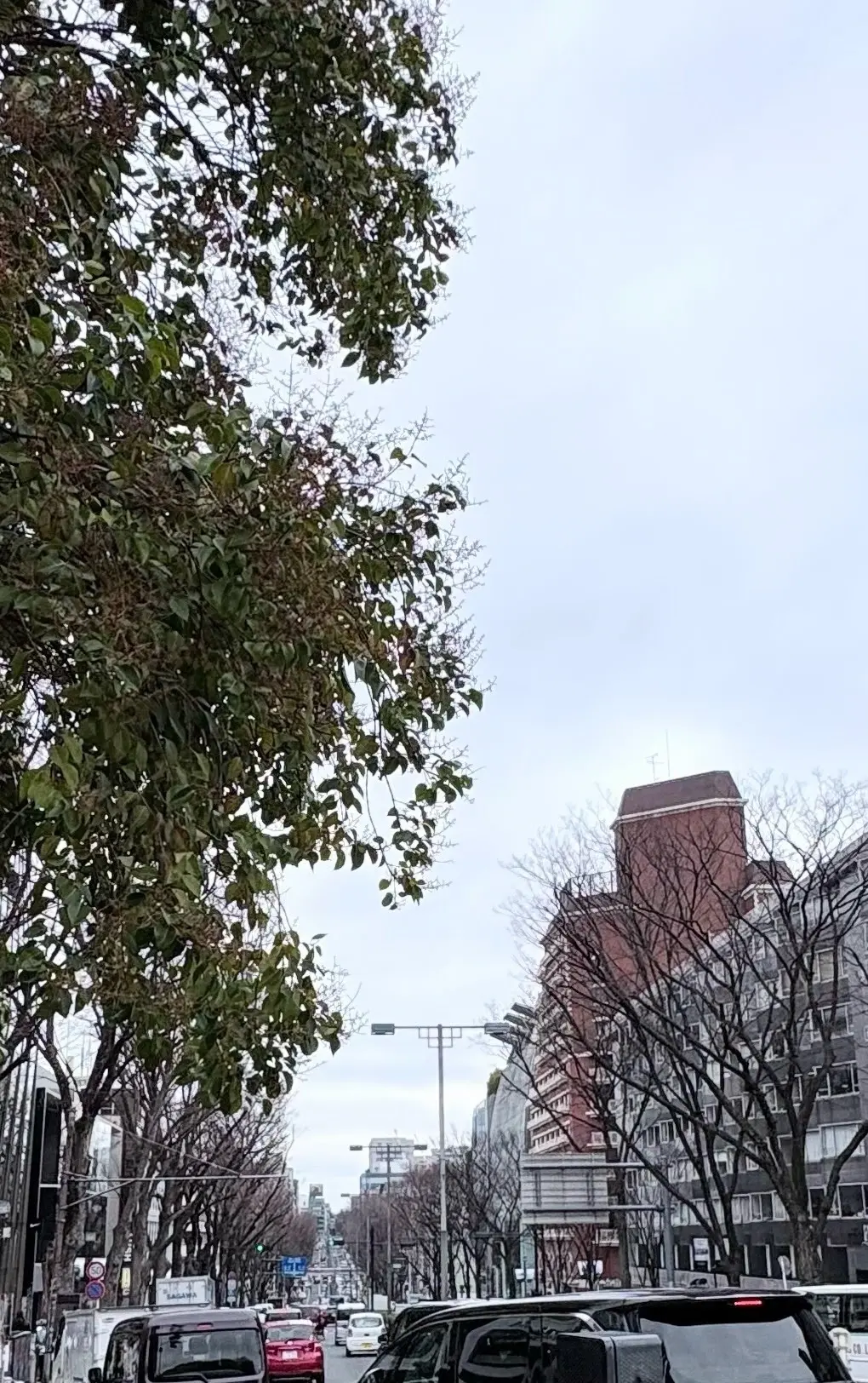 表参道アフタヌーンティーへの画像_1