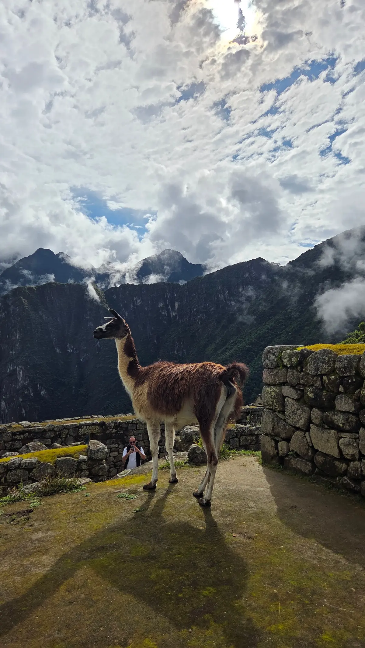 死ぬまでに見たい絶景ランキング常連！インの画像_24