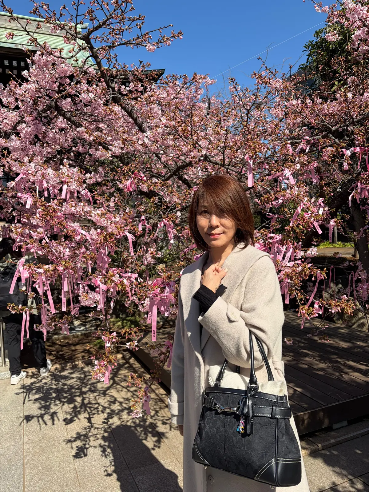 お花見　河津桜　開花情報　桜神宮　御朱印　世田谷散歩　御朱印散歩　ヴィヨン　バームクーヘン　桜新町　jマダムのブログ　世田谷の河津桜