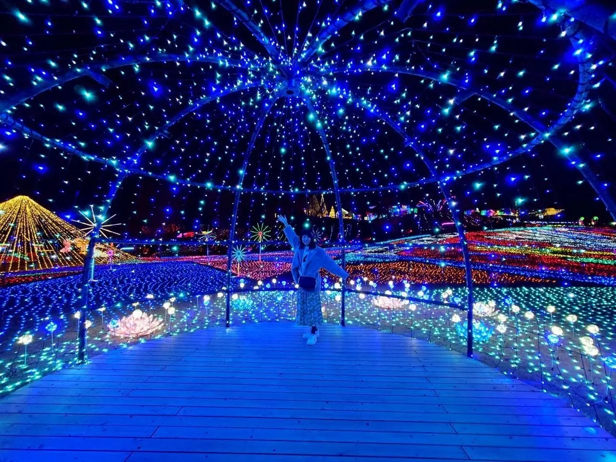 東京ドイツ村のイルミネーション　✨️キラの画像_21