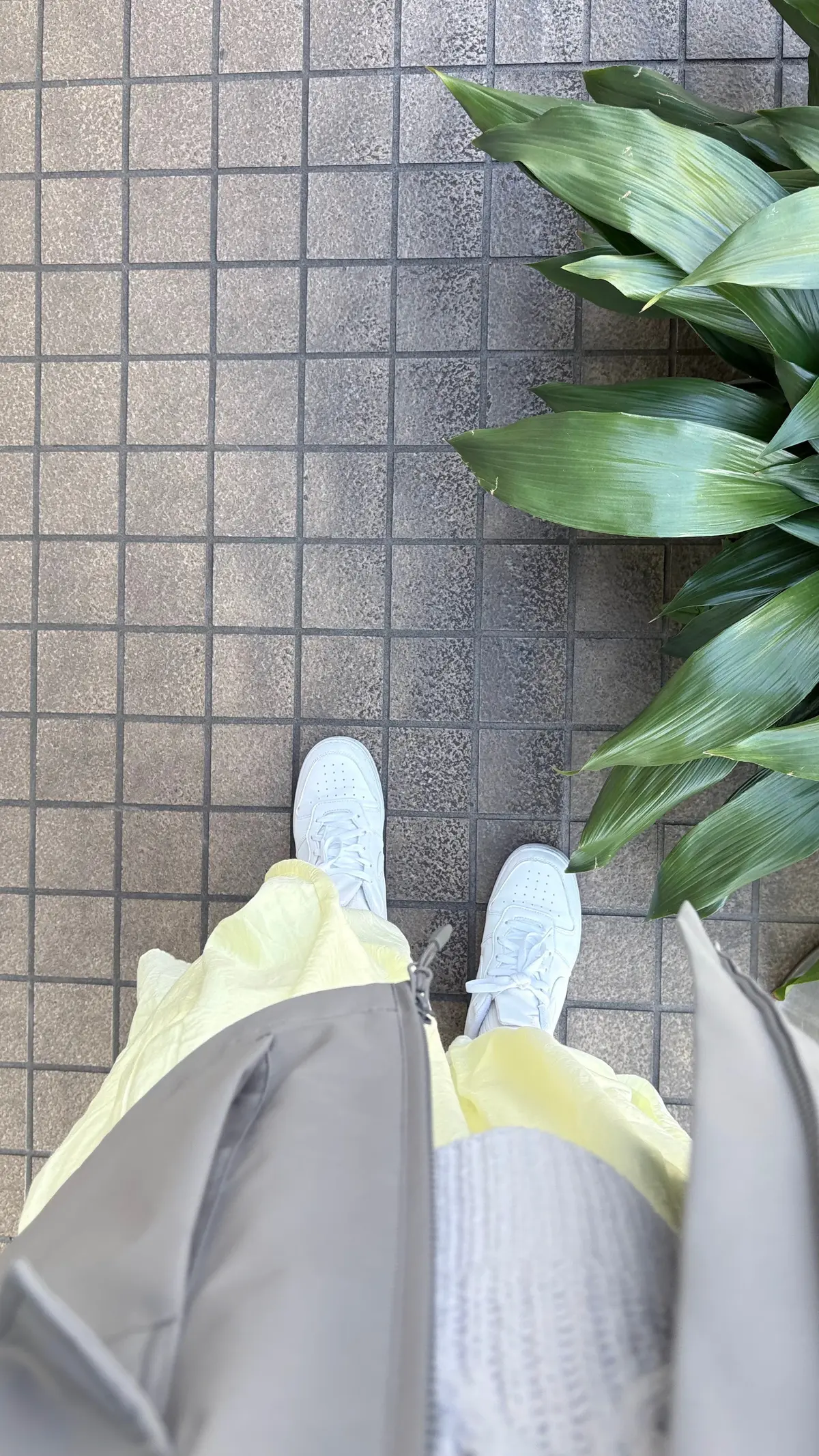 春を感じる、イエロースカートとグレーニッの画像_1