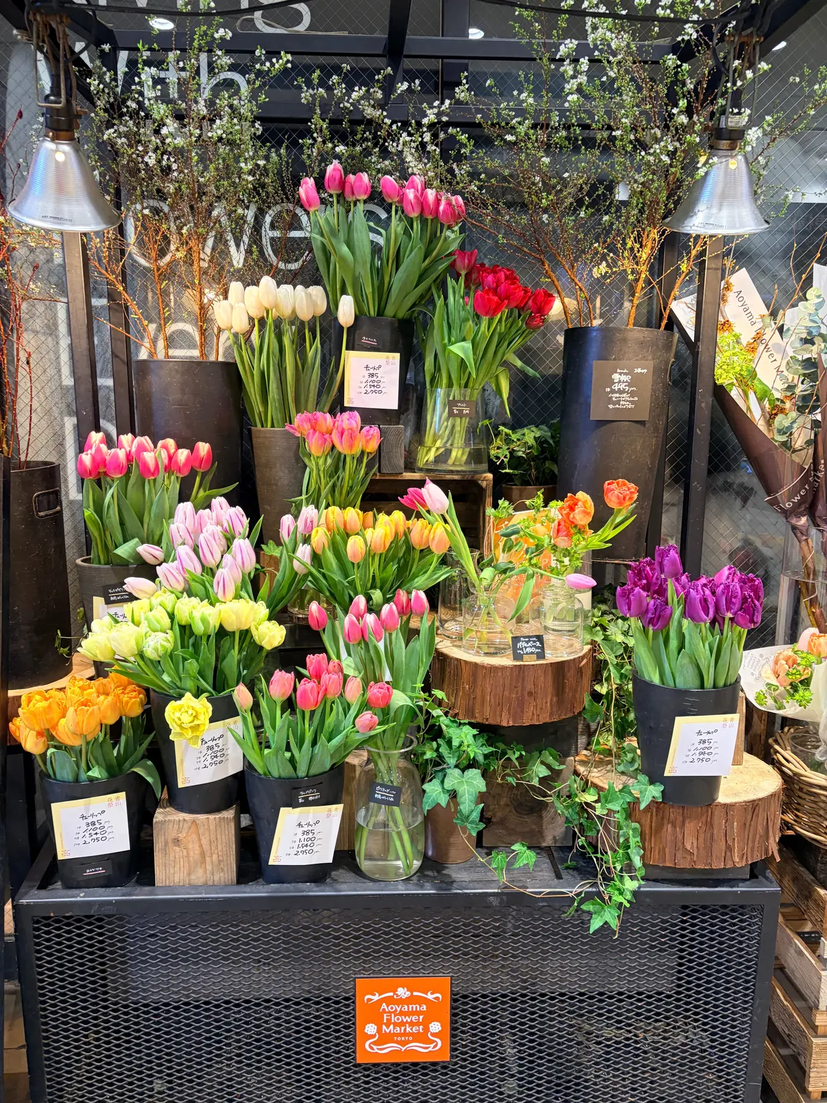 「デニムジャケットxカラーワンピース」大の画像_10