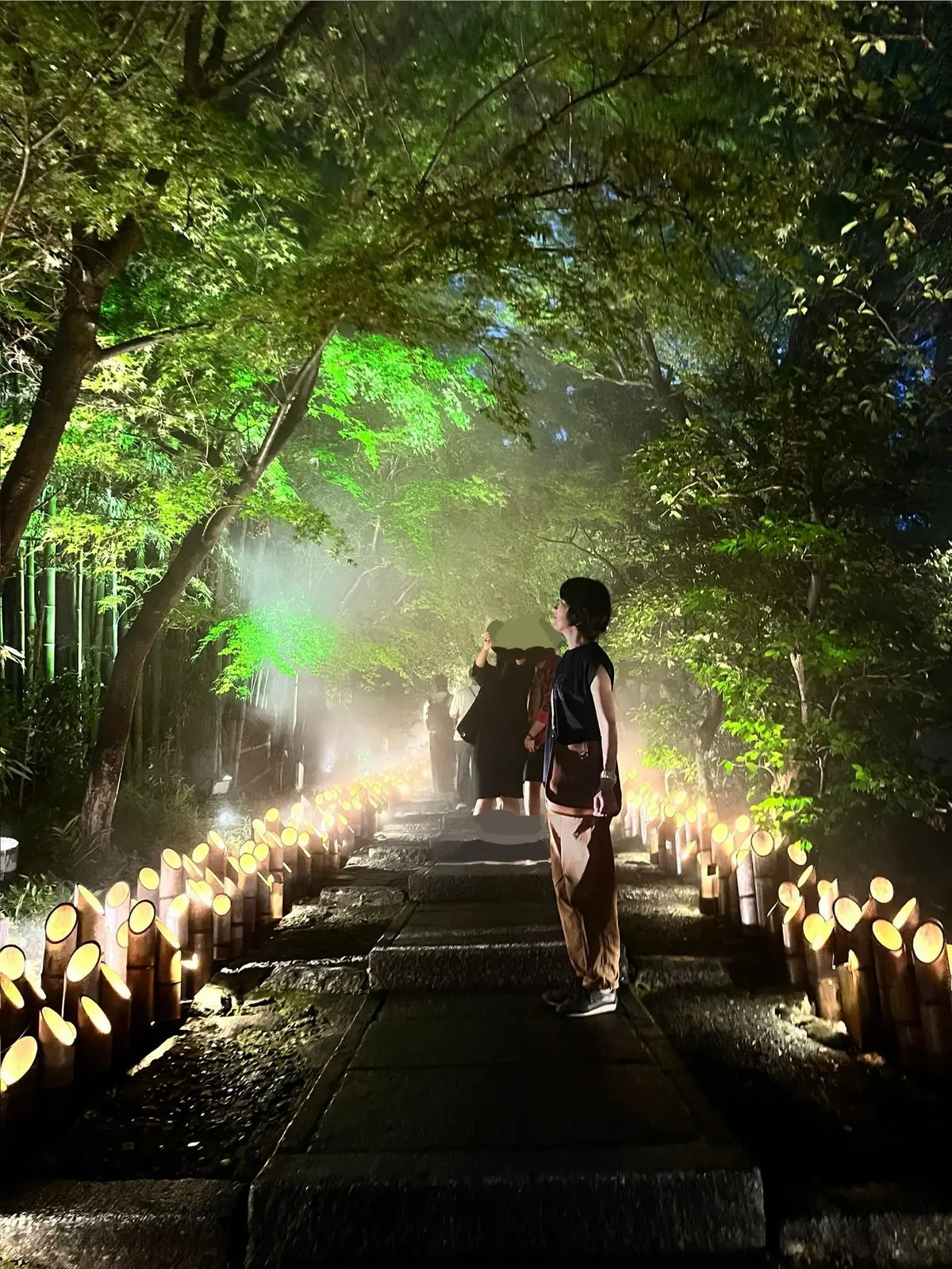 夜の階段に並んだ竹筒の灯りに照らされた風景。中央に人物が立ち、奥には別の人が立っている。緑豊かな木々が背景に茂り、霧が立ち込めている。