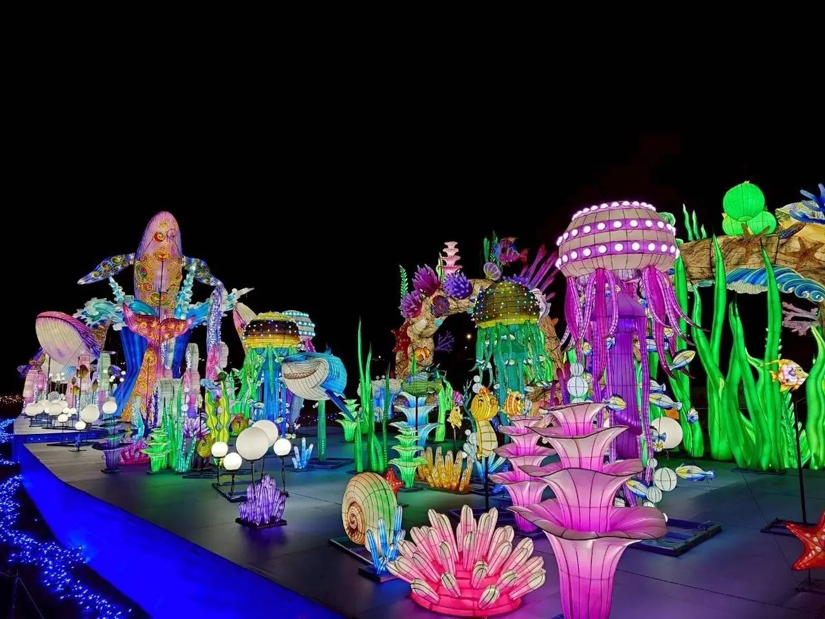 東京ドイツ村のイルミネーション　✨️キラの画像_26