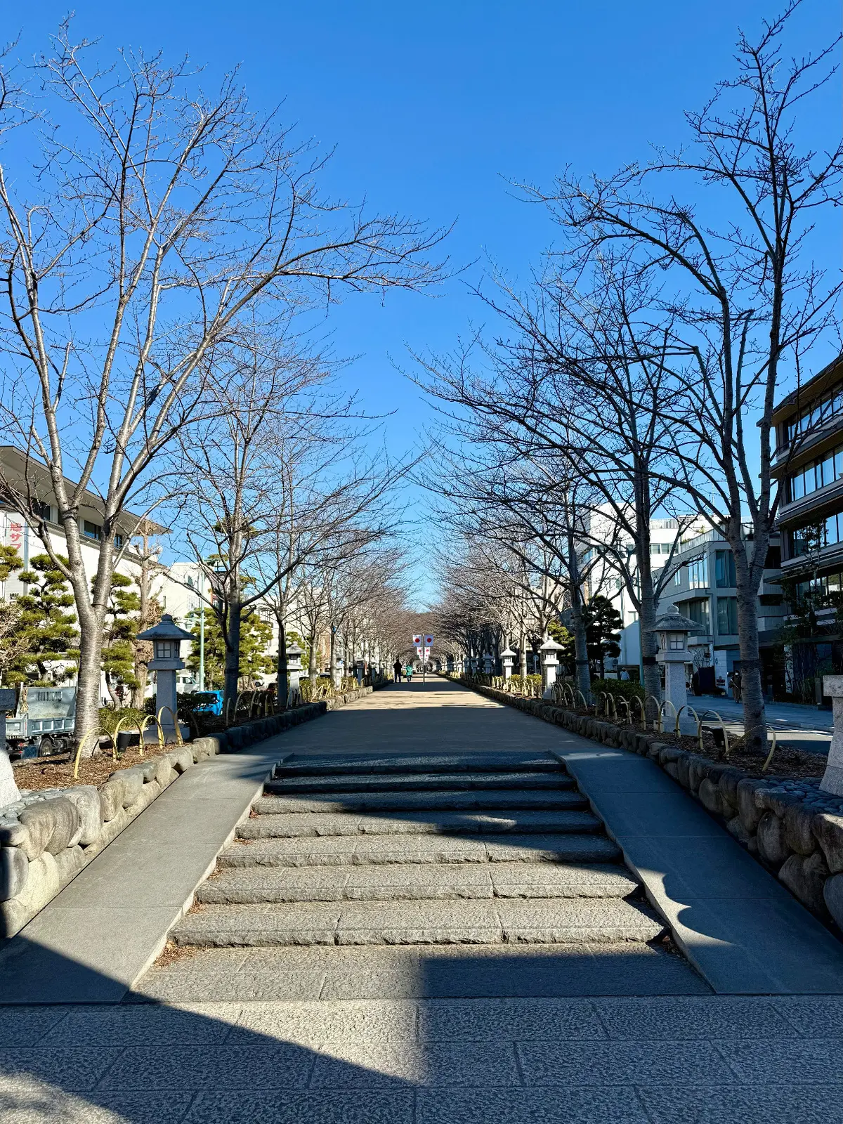 鎌倉　鶴岡八幡宮　参道