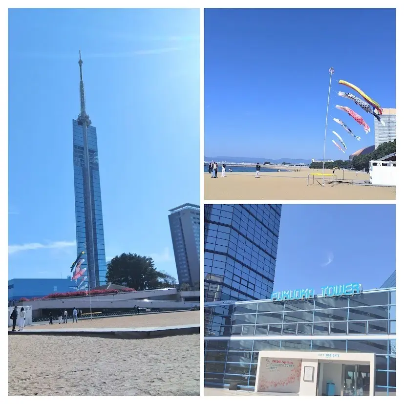 ももち海岸　福岡タワー