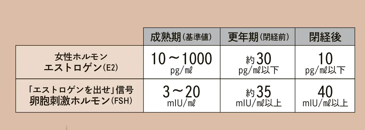 女性ホルモンエストロゲン(E2)と卵胞刺激ホルモン(FSH)の数値変化を比較した表。成熟期、更年期（開経前）、閉経後の基準値をpg/mlまたはmIU/mlで示している。