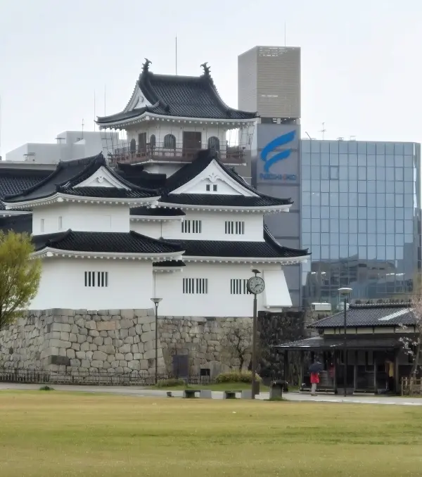 【富山・春旅】Vol.3雨の中「国宝・瑞の画像_5