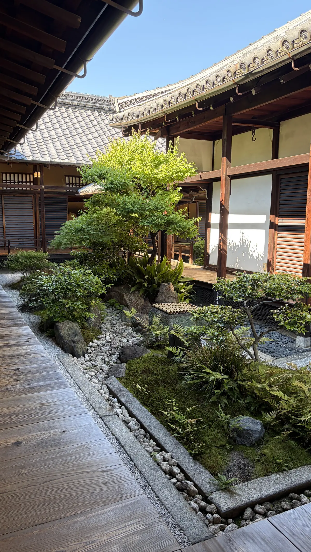 観智院