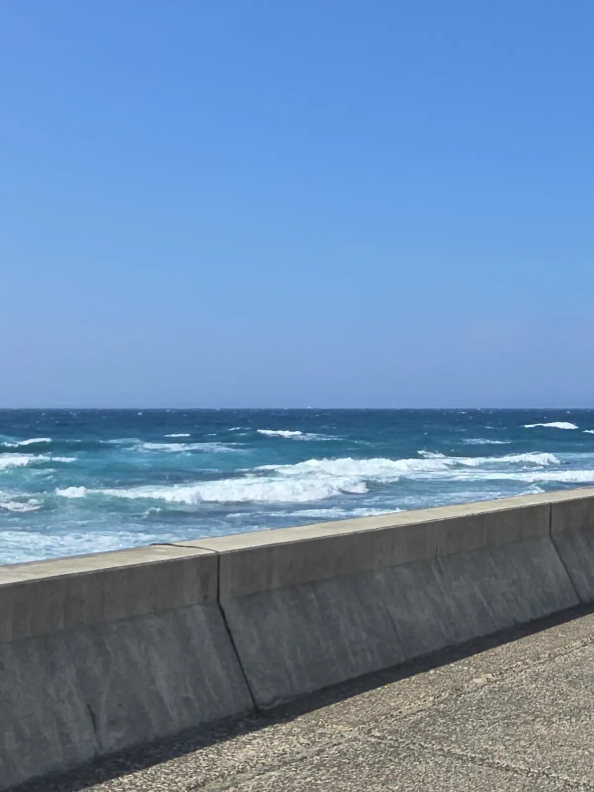 早春の房総半島鉄道旅 前編 目指せ鋸山!の画像_12