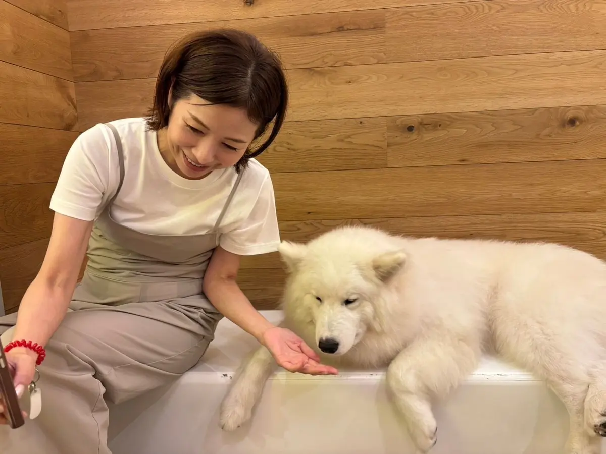 白いサモエドが浴槽に寝ており、女性がその頭をなでている。木製の壁が背景にある。