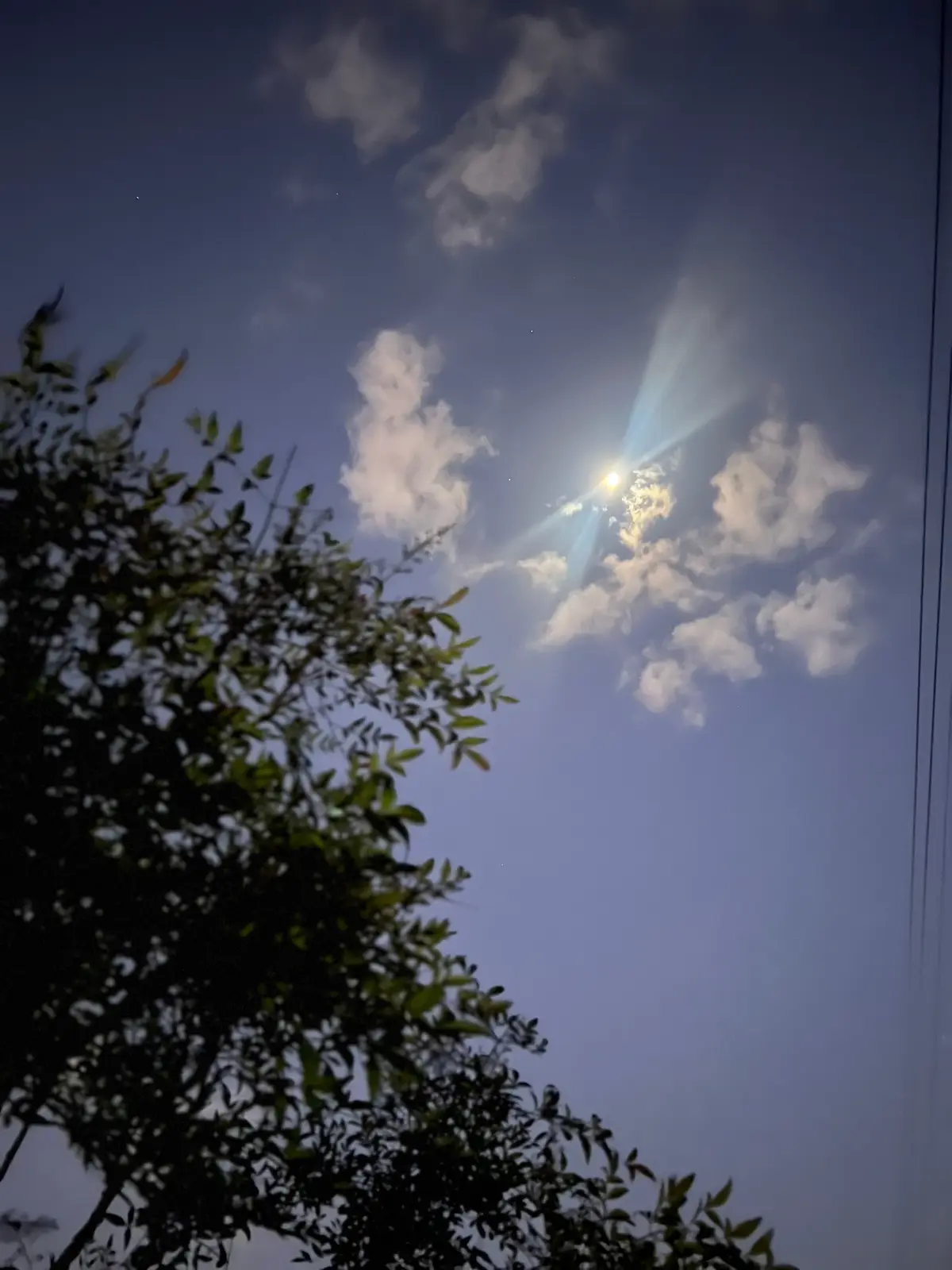 朝活は、わたしに元気をくれるんです♪エナの画像_2