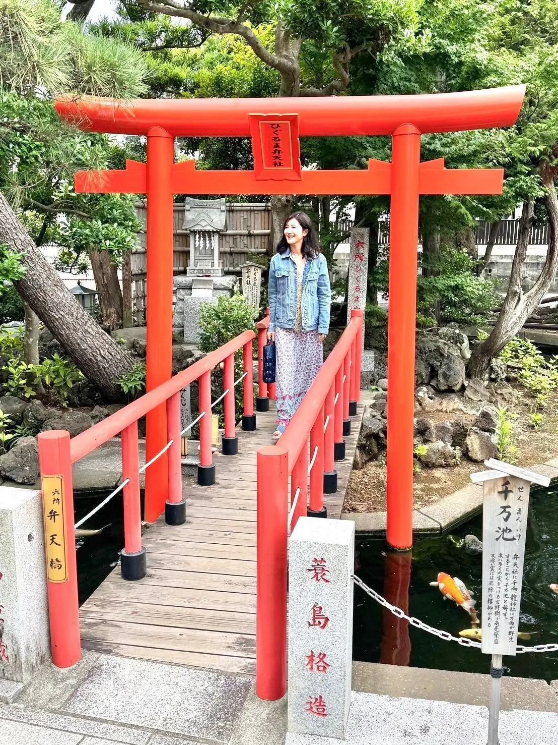 赤い鳥居と木製の橋、池に金魚が泳ぐ庭園で女性が歩く