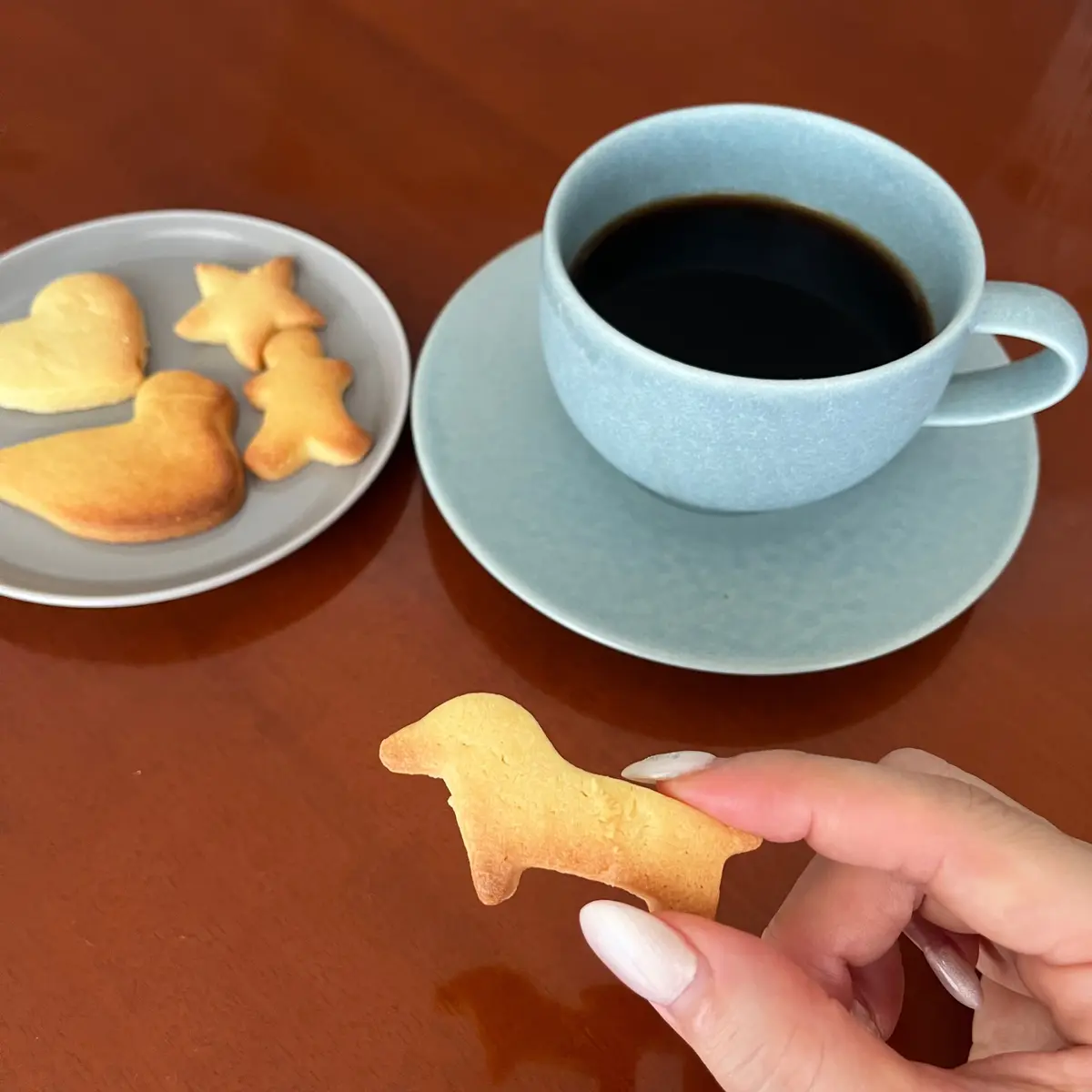 木製のテーブルに置かれた、コーヒーと犬の形をしたクッキーのセット。左にはグレーの皿にクッキーが数個、右にはブルーグレーのカップに入った黒いコーヒー、ソーサーが置かれている。手で犬のクッキーを持ち上げている。