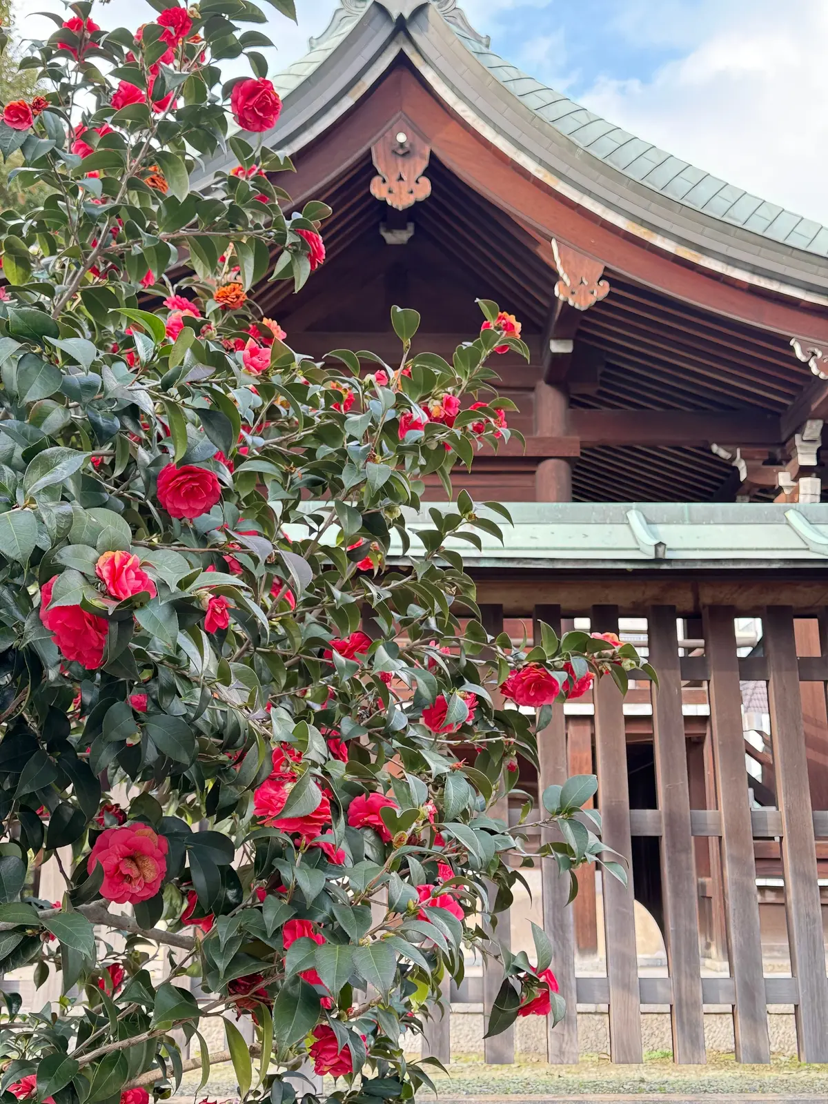 休日の街散歩〜生國魂神社〜の画像_2