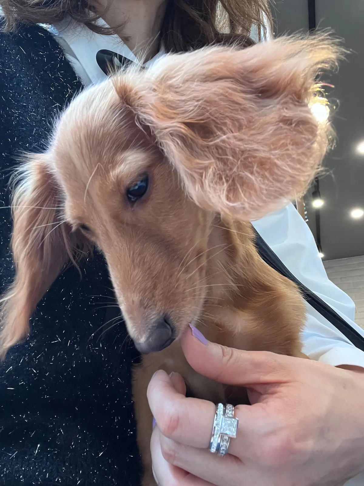 やっぱりかき氷も〝桜🌸〟＆いろいろなことの画像_13