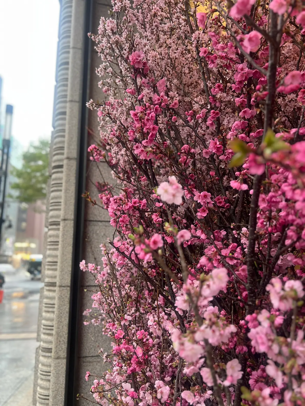 この春なに着る？エクラプレミアム試着会の画像_1