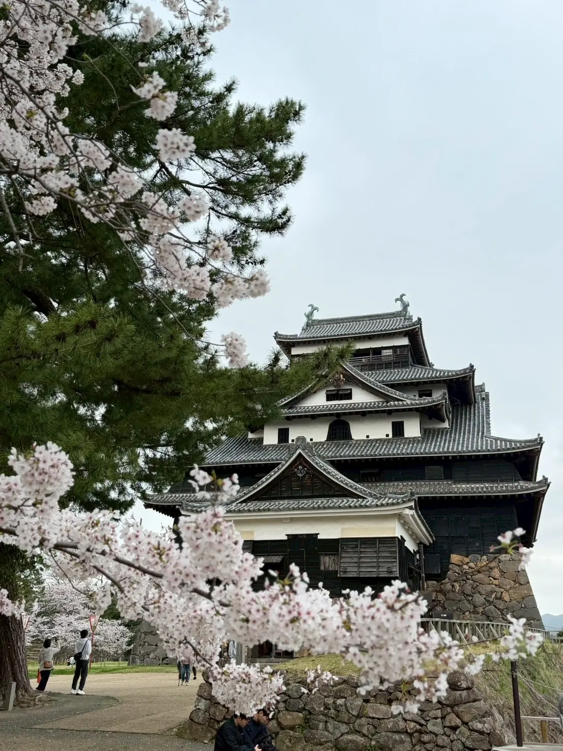 忙しい大人にちょうどいい。1泊2日で松江の画像_7