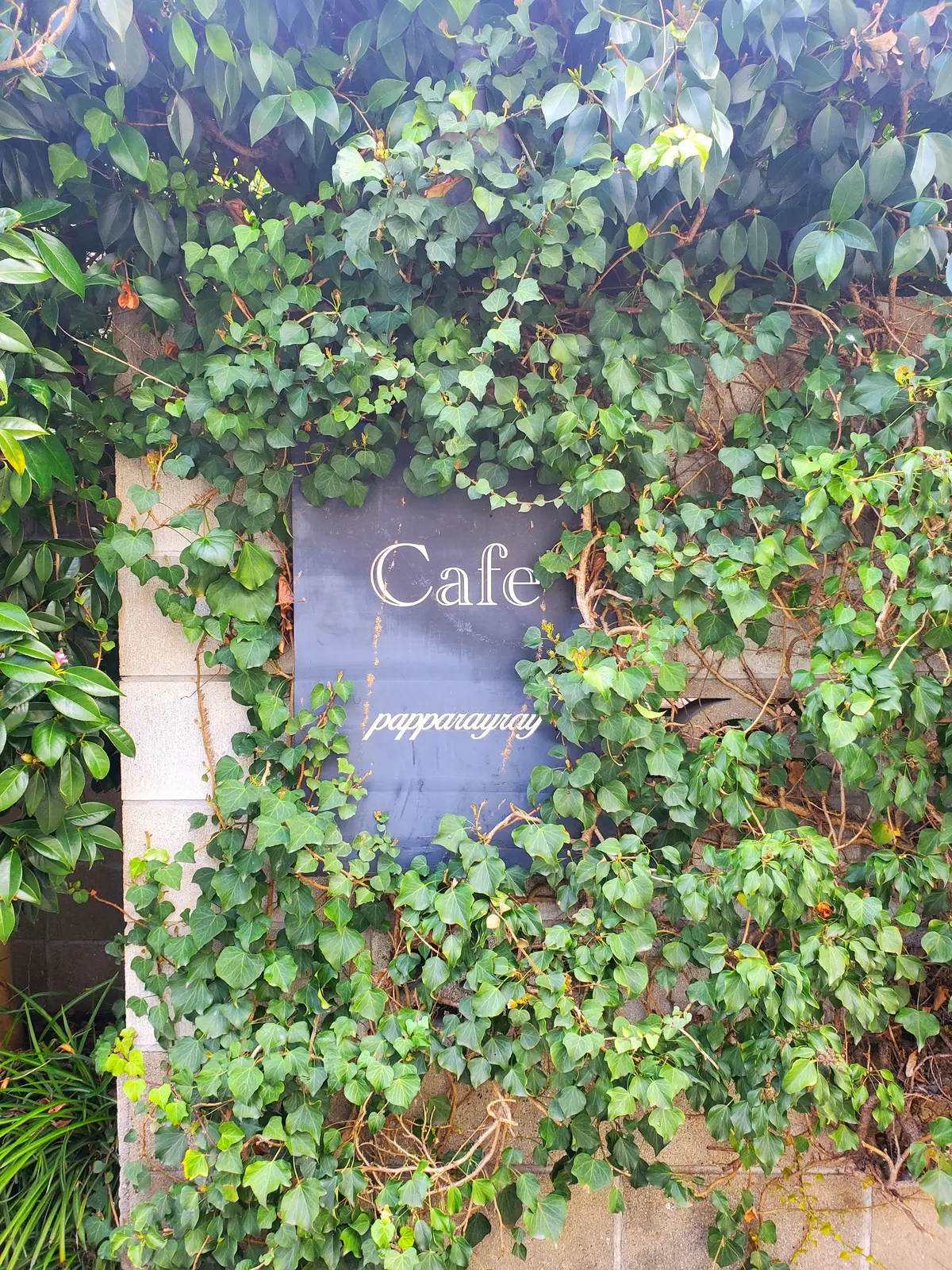 歳を重ねて似合う色、大人ブラウンアウターの画像_1