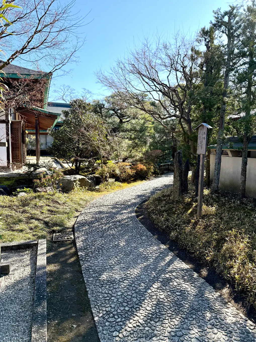 鎌倉　鶴岡八幡宮　境内　神苑ぼたん庭園