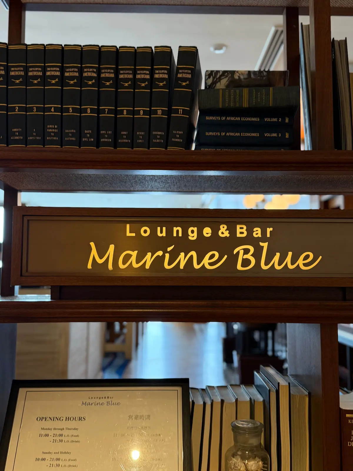 木製の棚に並んだ「Encyclopedia Americana」の黒い本と、黄色の表紙の「Surveys of African Economies」の本が置かれ、棚下には「Lounge & Bar Marine Blue」という金色の看板が設置されて