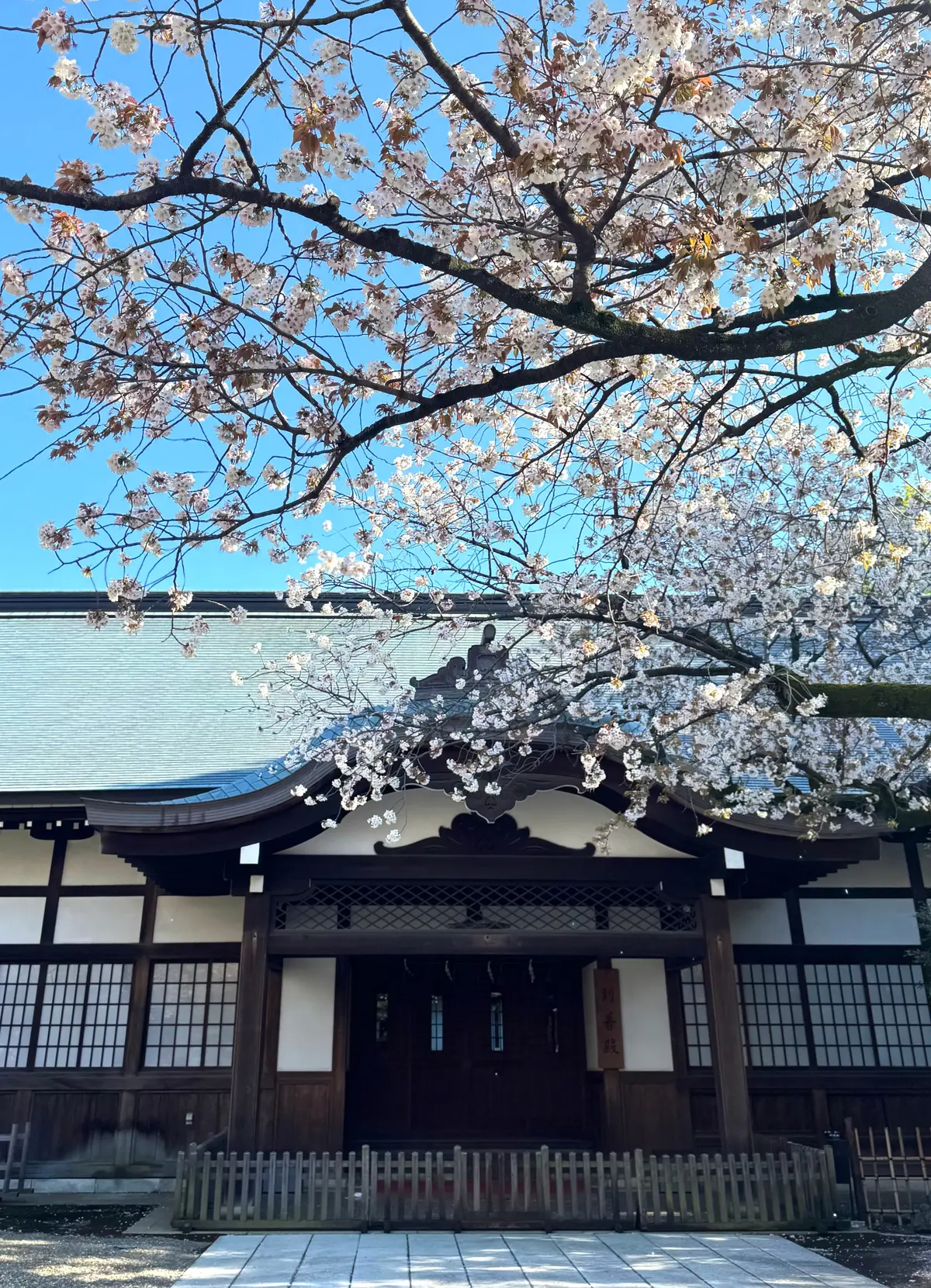 ZARAの上品セットアップで「下村観山展の画像_18