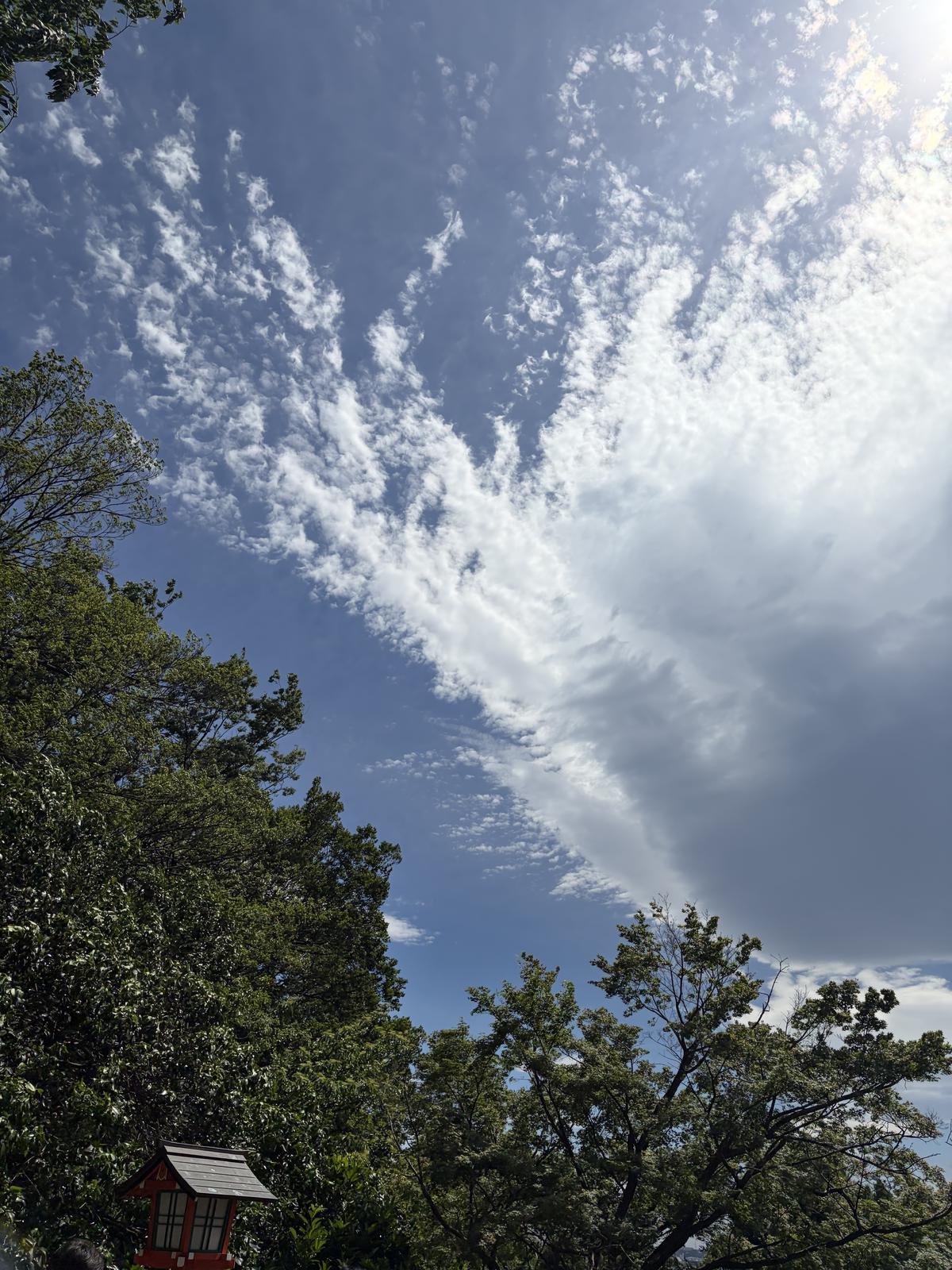 青空と新緑とユニークな形の雲