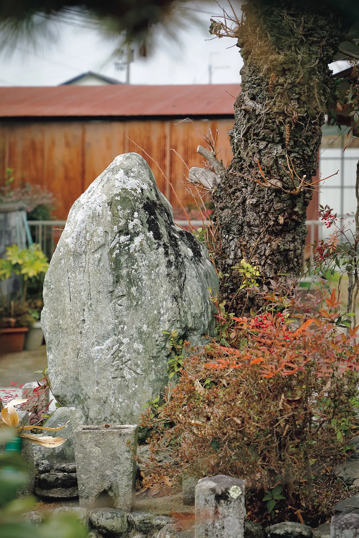 店からほど近い下市町 阿知賀に現存する「い がみの権太」の墓。