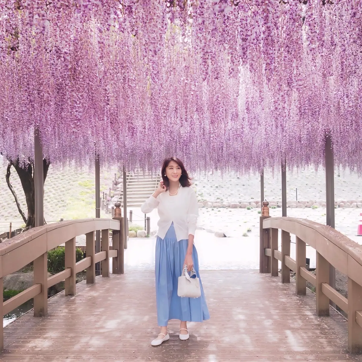 【愛知・津島】紫色と白の藤の花と、褒めらの画像_11
