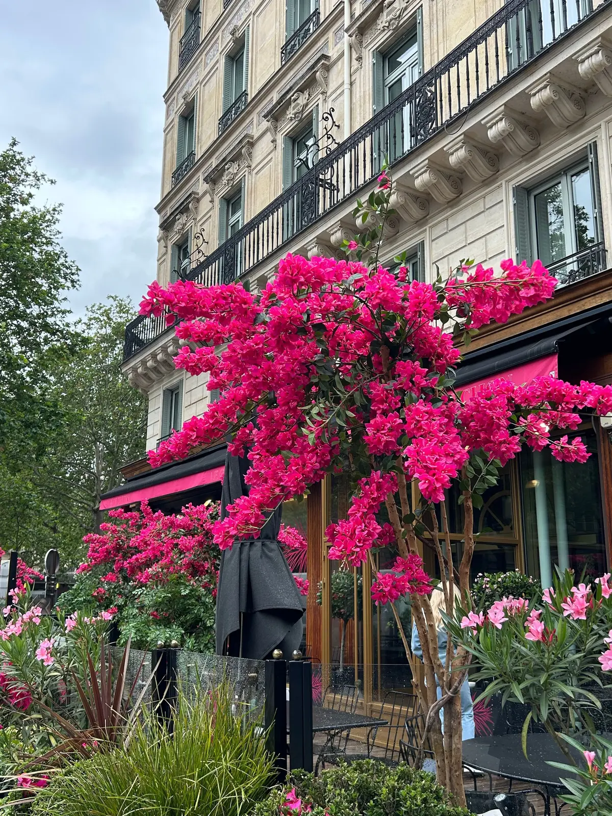 人生に一度は泊まりたいパリの隠れ家Fauchon L'Hôtel Paris