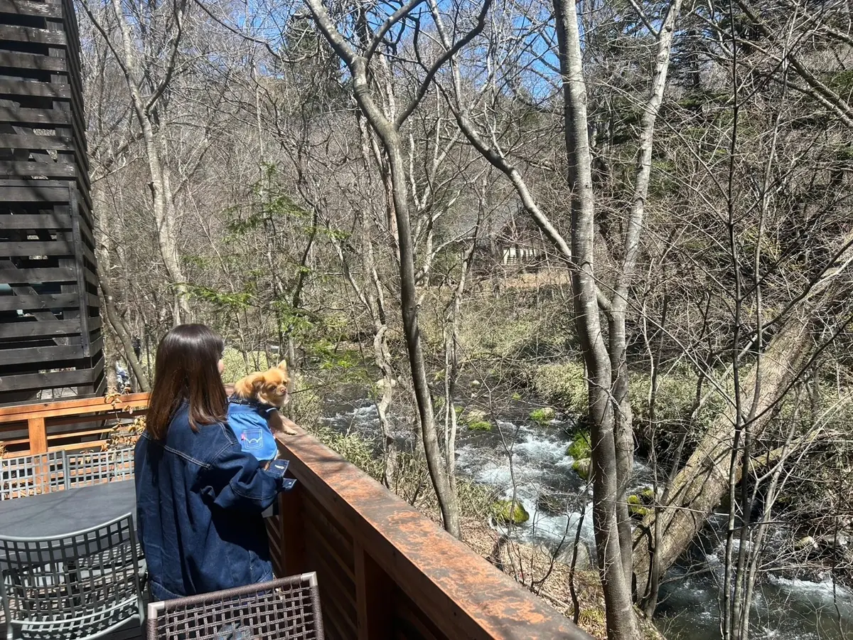 軽井沢ハルニレテラスへ⭐︎美味しいお蕎麦の画像_12