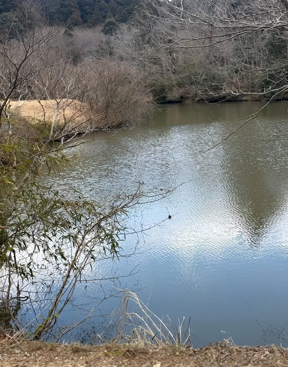 THE LAKOTANでのBBQはオールの画像_2