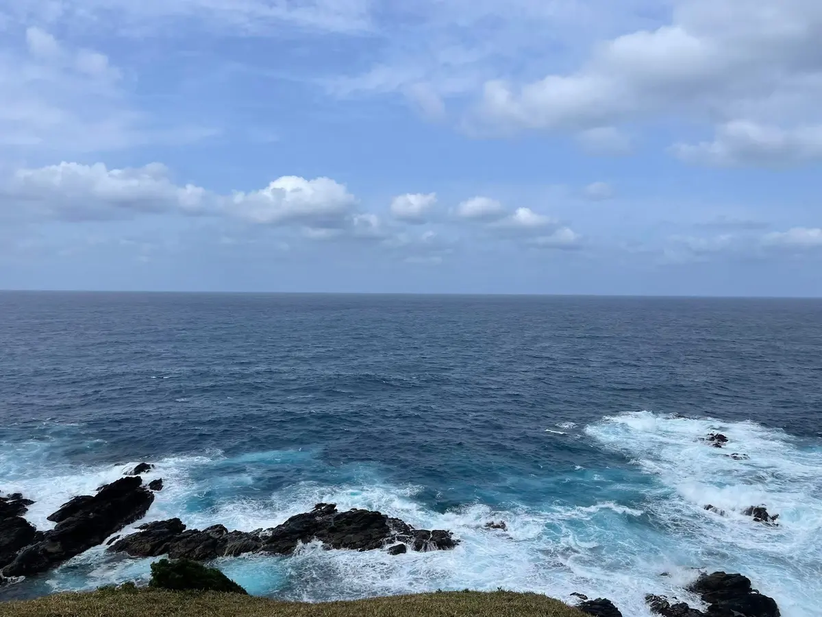 奄美大島の自然を満喫する旅①｜マングローの画像_9