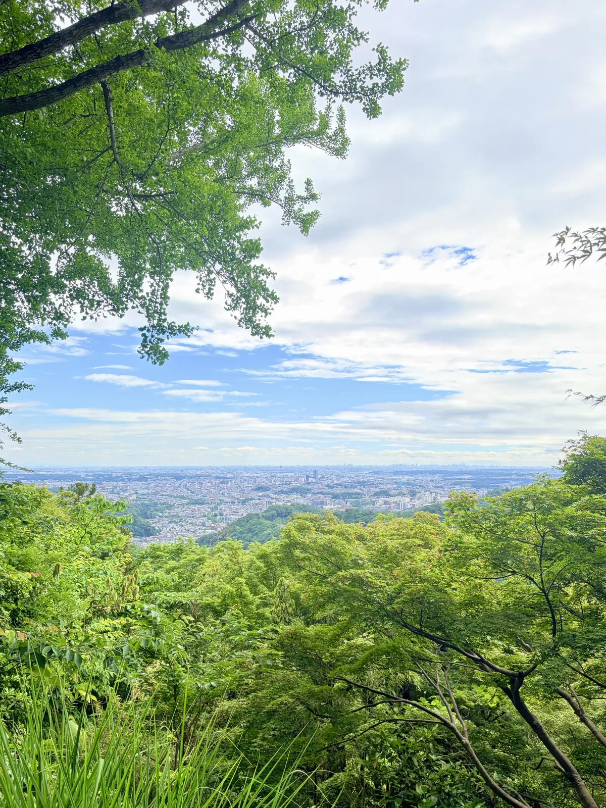 高尾山かすみ台（展望台）からの景色
