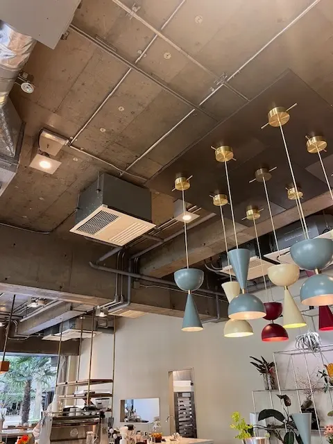 お花見の時期の特等席の画像_9