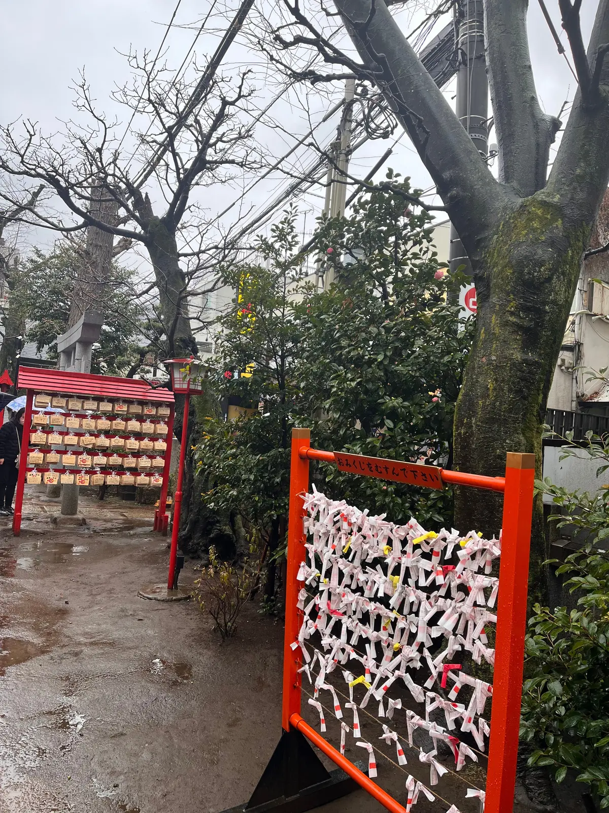 新大久保のお気に入りカフェの画像_9