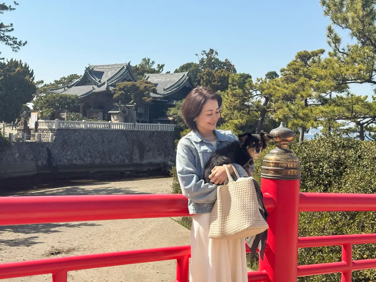 葉山さんぽ｜名物ランチ、パワースポット、の画像_8