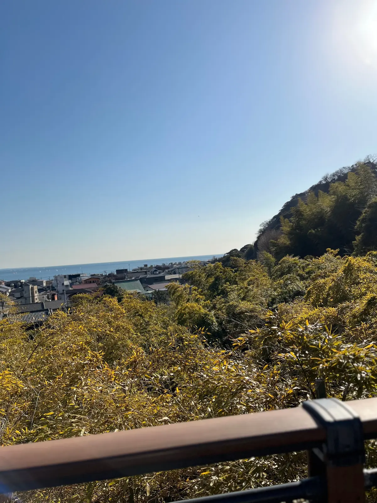 梅が見頃【鎌倉の長谷寺】と古民家カフェへの画像_10