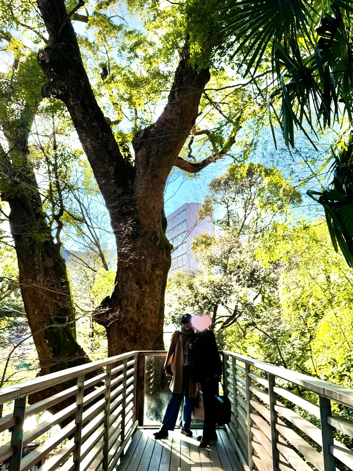 親友と弾丸熱海旅行 Vol.2 〜パワーの画像_8