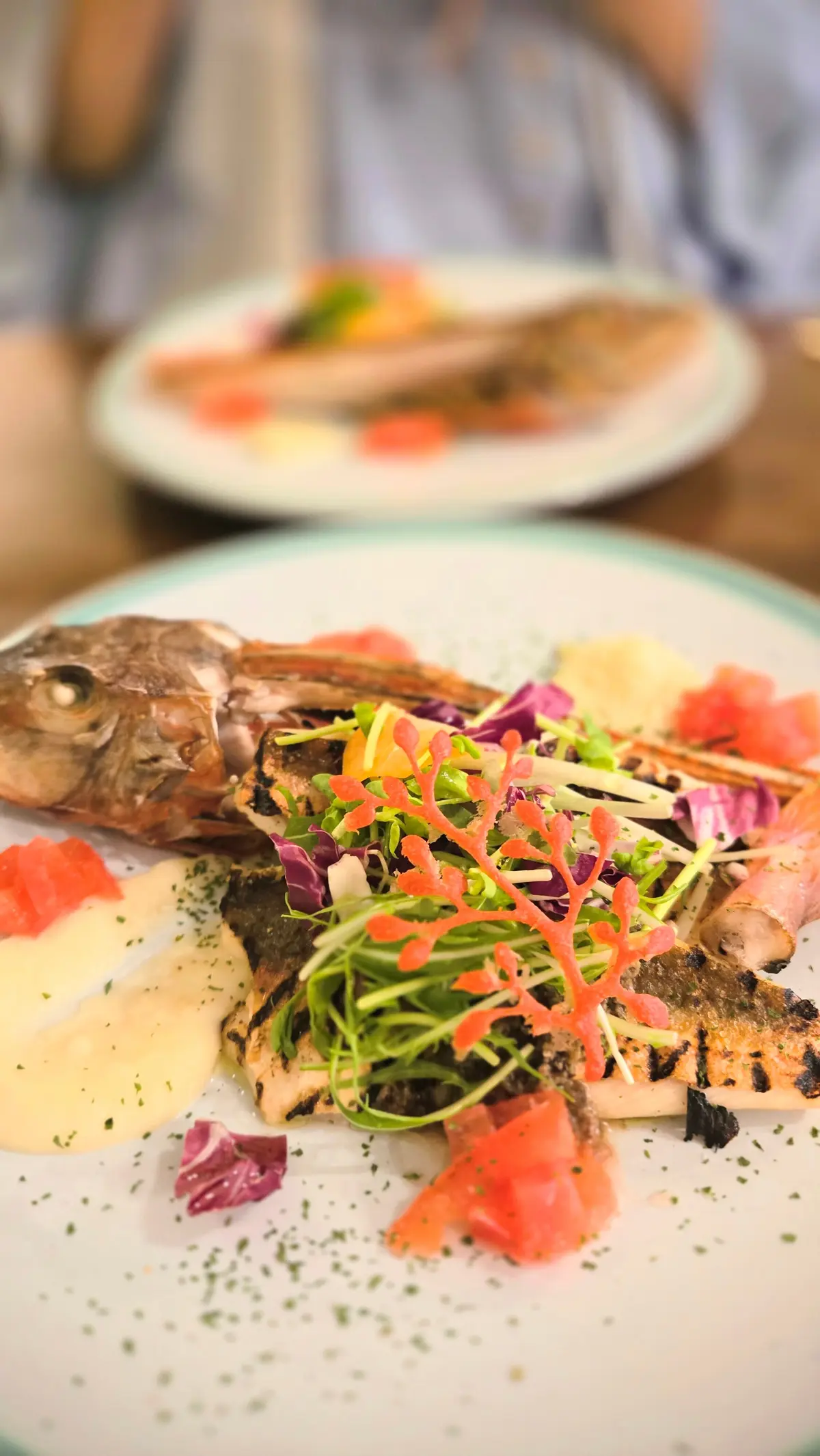 ホウボウのグリル