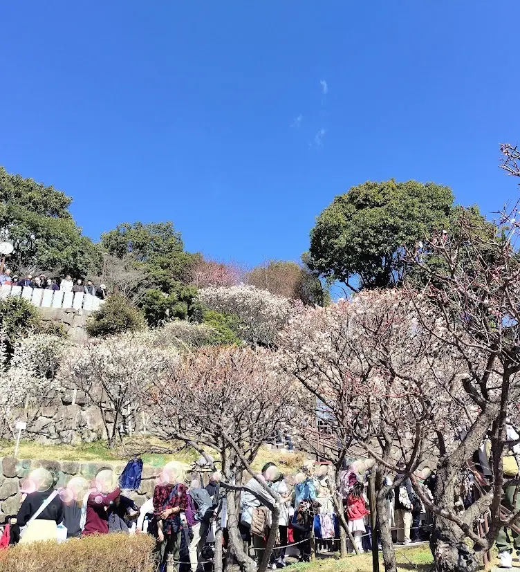 花より団子🍡の梅花見🌸の画像_2