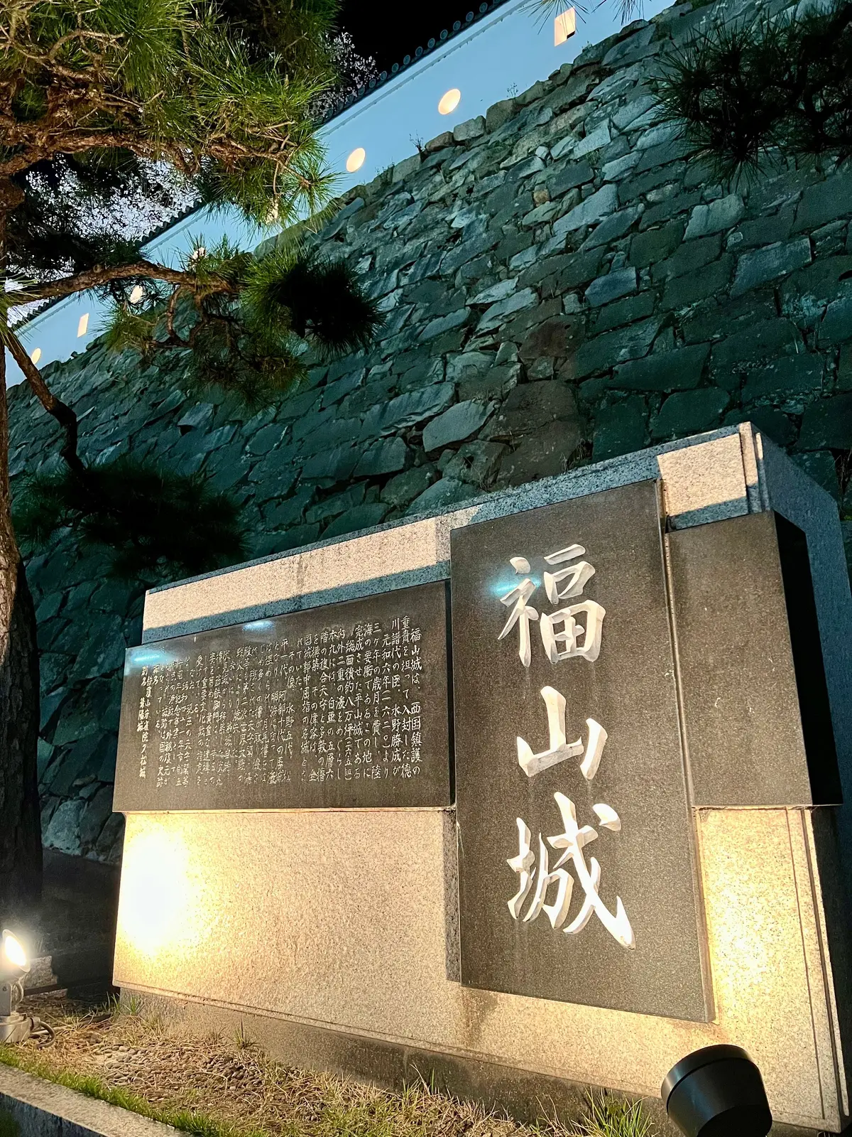 福山城の夜桜と絶品尾道ラーメンの画像_2