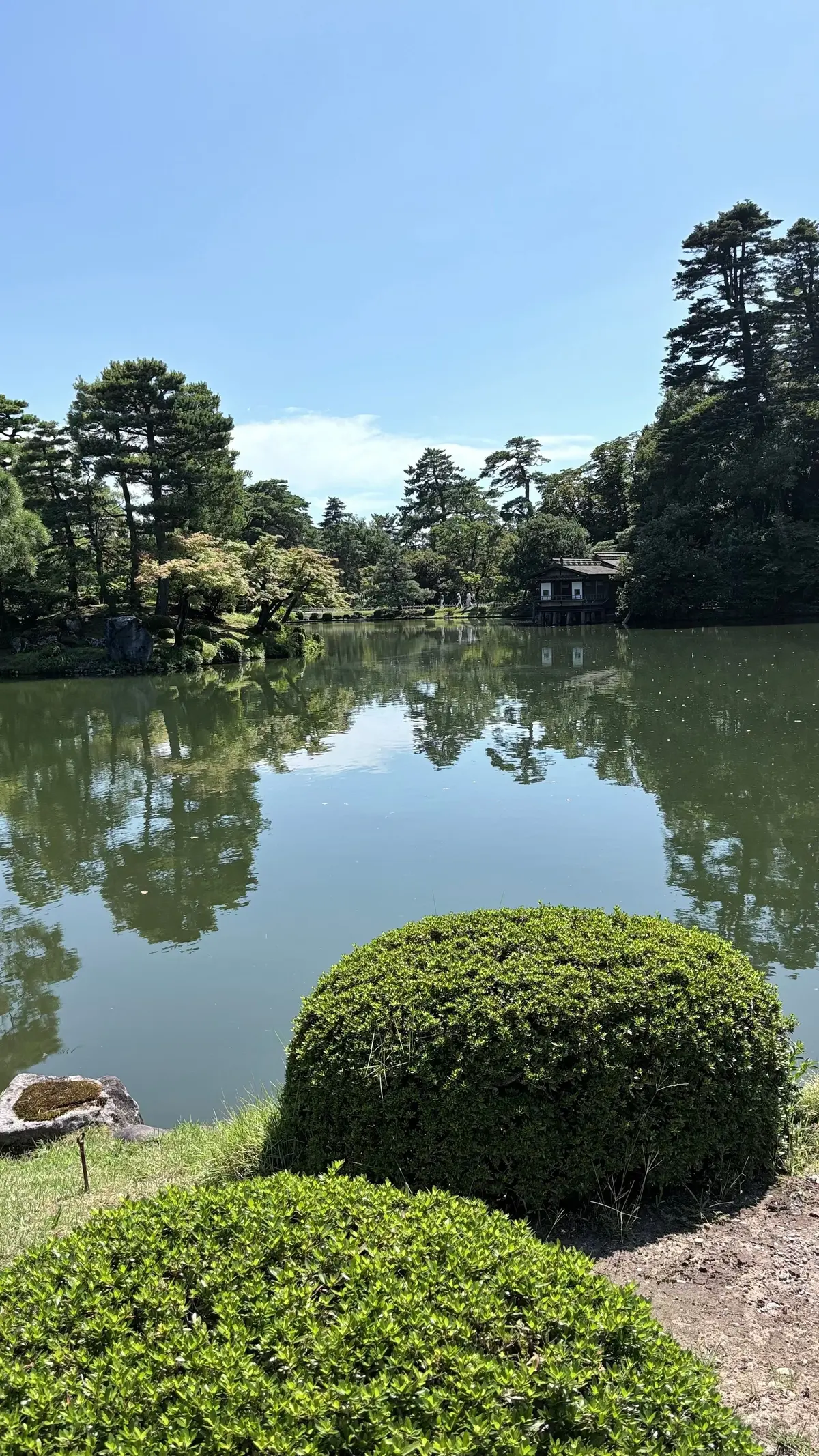 穏やかな湖面に緑豊かな木々の姿が映る、日本の庭園の風景。手前に丸い形をした常緑樹の茂みがあり、背景には伝統的な建物が見える。