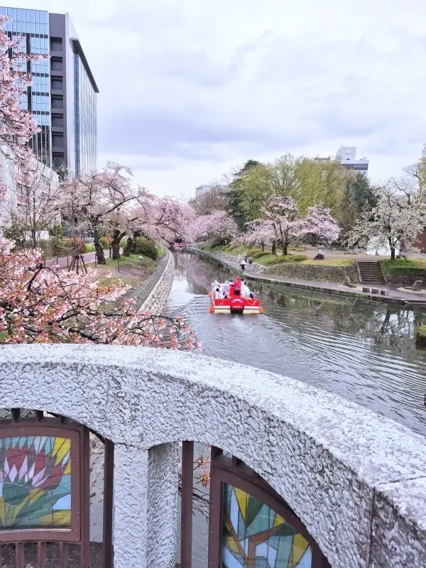 【富山・春旅】Vol.3雨の中「国宝・瑞の画像_10