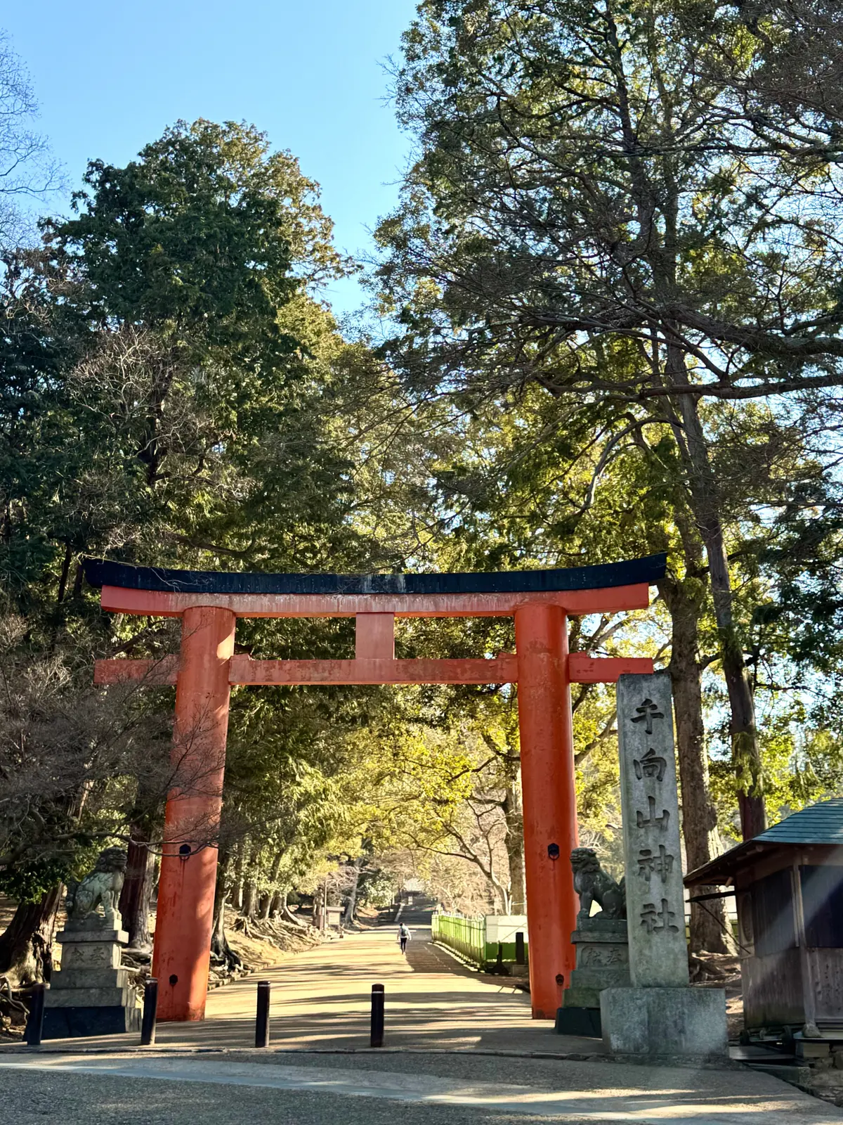 美味いもん＆御朱印を求めて母娘弾丸2人旅の画像_15