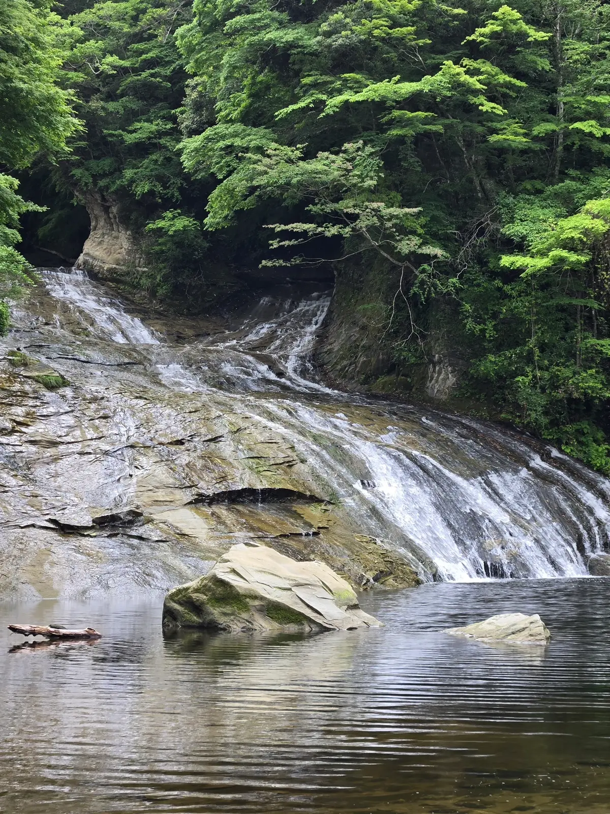 【ちばTrip】粟又の滝と湖畔を臨む絶品の画像_7