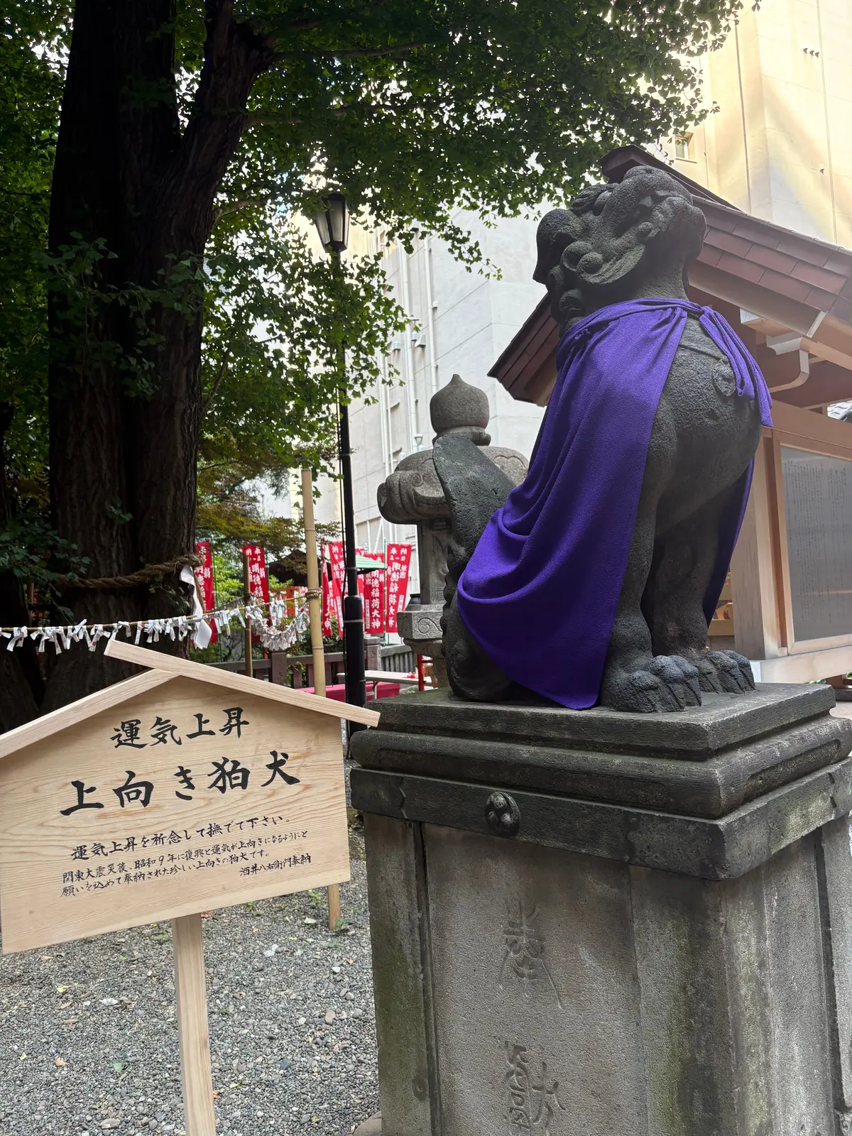 石造りの犬像が、苔むした台座の上に座っている。紫色の装束を身につけ、正面を向いている。背景には朱色の鳥居と社殿が見える。